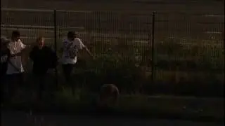 Eulopazoo Trittbrettfahrer Outro