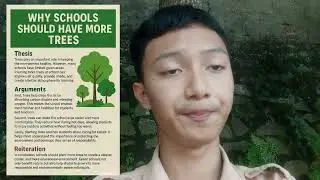 why schools should have more trees 