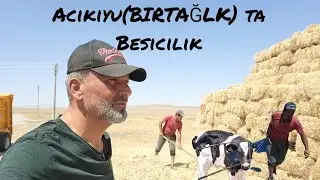 Acikuyu(BIRTAĞLK) ta Besicilik/Hi&ccedil;birsey kolay deyildir