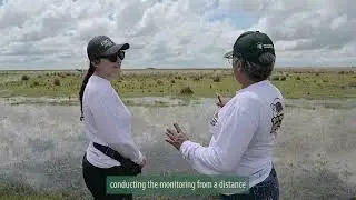 Tortugas Llaneras: Acuerdos para su conservación / Llanos Turtles: Agreements for their conservation