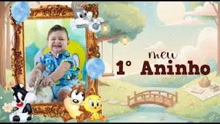 Retrospectiva Mathias Eduardo 1 aninho -  Baby Looney Tunes