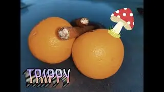 First MUSHROOM trip stories!!
