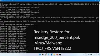 Restoring registry change of msedge_200_percent.pak in TrendMicro | Virus/Malware: TROJ_FRS.VSNTE222