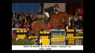 le tot de semilly partie 2 FRANCAIS.wmv