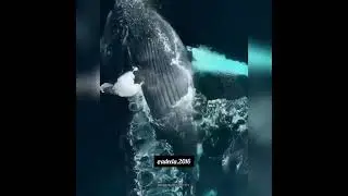 #beautiful kalaaam#subhanallah #viral #islam #youtube