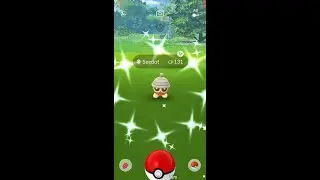 Shiny Seedot - Pok&eacute;mon Go
