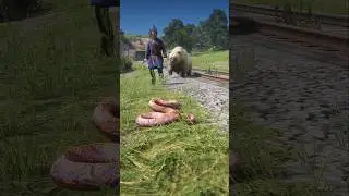 Survival Skills vid1059