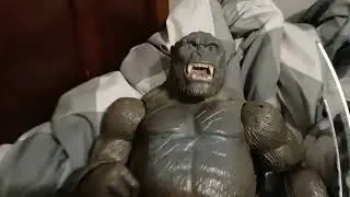 The adventures of big bird (+kong)