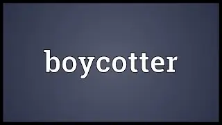 Boycotter Meaning