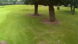 Warley Woods Golf Course Hole By Hole Tour