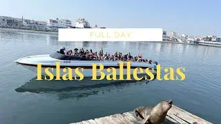 Paracas 2025: Ping&uuml;inos, lobos marinos y aventura | Islas Ballestas en 4k|
