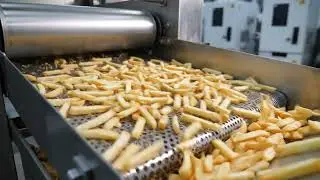 Potato to french fries factory