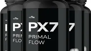 Primal flow FlowInstinctMouvementCorps  corporelVitalit&eacute;AncrageTranscendanceHarmonisationRespiration