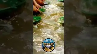 Gold Panning for Kids