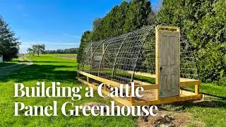 How We Built a Cattle Panel Greenhouse | DIY Hoop House