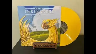 Chocobo & Chill Vinyl Rip