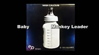 Baby - Monkey leader