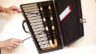 Glockenspiel 25 Notes with 23 Esy Play Songs for Beginners - Metal Xylophone - Carrying Bag  Reviews