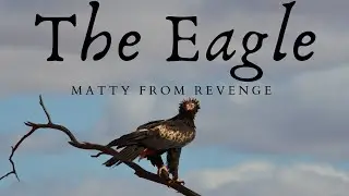 The Australian Eagle