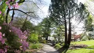 Last videos clips from mount auburn cemetery
