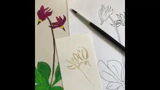 Painting Flowers with Coffee: Shooting Stars