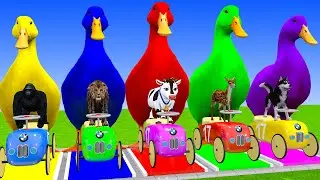 Long Slide Game with Cow Elephant Gorilla Hippopotamus Tiger 3d Animal Game Funny 3d Animals