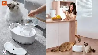 Baseus 2.5L Smart Pet Water Fountain |  For Dog&Cats