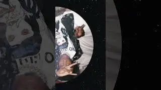 [FREE FOR PROFIT]#playboicartitypebeat #playboicarti #typebeat #beats #freestyle #rap #music #trap