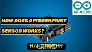 How does a Fingerprint Sensor work?