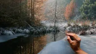 How to Paint a Winter Landscape in Oils - Show, Ice + Trees