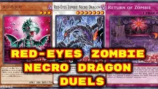 Yugioh - Red-Eyes Zombie Necro Dragon Duels (Deck Download in Description)