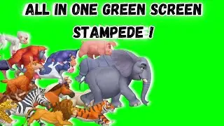 ALL IN ONE! STAMPEDE GREEN SCREEN ! #greenscreen @VfxKarki5 @vfxhd@vfxnaveed@GSA@GreenScreenBrasil