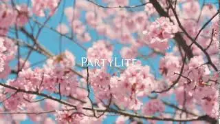 PartyLite: Spring Is Coming Flowers