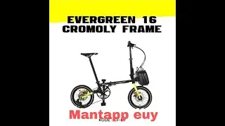 Evergreen Maximus 16..Mantapp Sekaliiii...