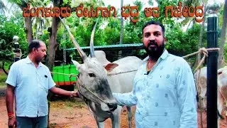Varthur Santhosh Mentions Race Champion BHADRA to be rechristened as GAJENDRA for Bangalore Race