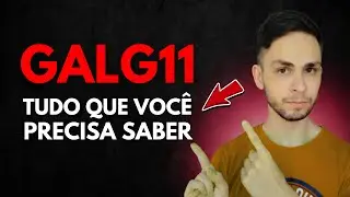 TUDO SOBRE GALG11: Vale a pena investir no &uacute;nico fii de log&iacute;stica base 10? Galg11 vale a pena?