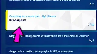 Hit weakpoints || Fortnite Winterfest Quests