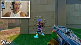 esse n&iacute;vel de pinada vcs nunca viram...