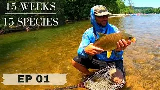 Fly Fishing Oklahoma (15 SPECIES CHALLENGE) EP 1-Upper Illinois River