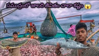 72 Hours in the Middle of the  Sea with Fishermen boat 🚢 🌊😞 | సముద్రంలో జాలరి జీవితం చాలా కష్టం 😱 