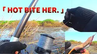 Hot Bite at This Spot! #fishing