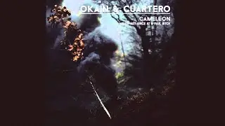 Okain & Cuartero - Cameleon