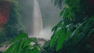 Find Your Inner Peace Through Nature