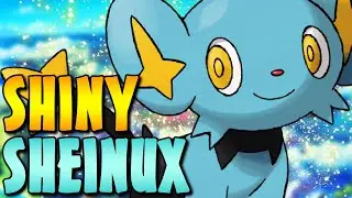 Shiny SHEINUX (nach 39 Encountern) | Shiny Reaction #028 | Nestfloh