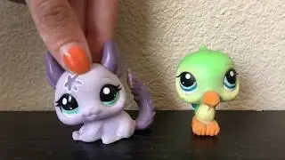 LPS: Expectations VS Reality (Summer Break)