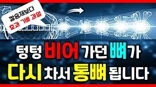 병원에서 끝까지 숨긴 기적의 뼈 재생 과일ㅣ칼슘약보다 7배 더 강한 흡수력으로 통뼈 됩니다