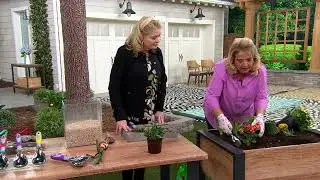Ultimate Innovations Dirty Little Digger PLUS 6-in-1 Tool on QVC
