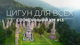 ЦИГУН ДЛЯ ВСЕХ - И ЦЗИНЬ ЦЗИН #13