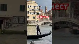 С острова мертвых через парк, мост, крышу и вокзал в ночь Триеста&hellip; финал  Венецианского  уикенда🥂