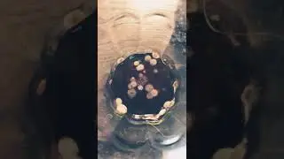 what is this fuzzy stuff in my drink?